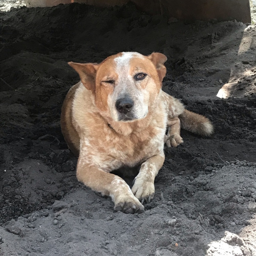 Meet your Posher, Valerie